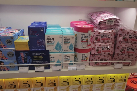 주요사업현황